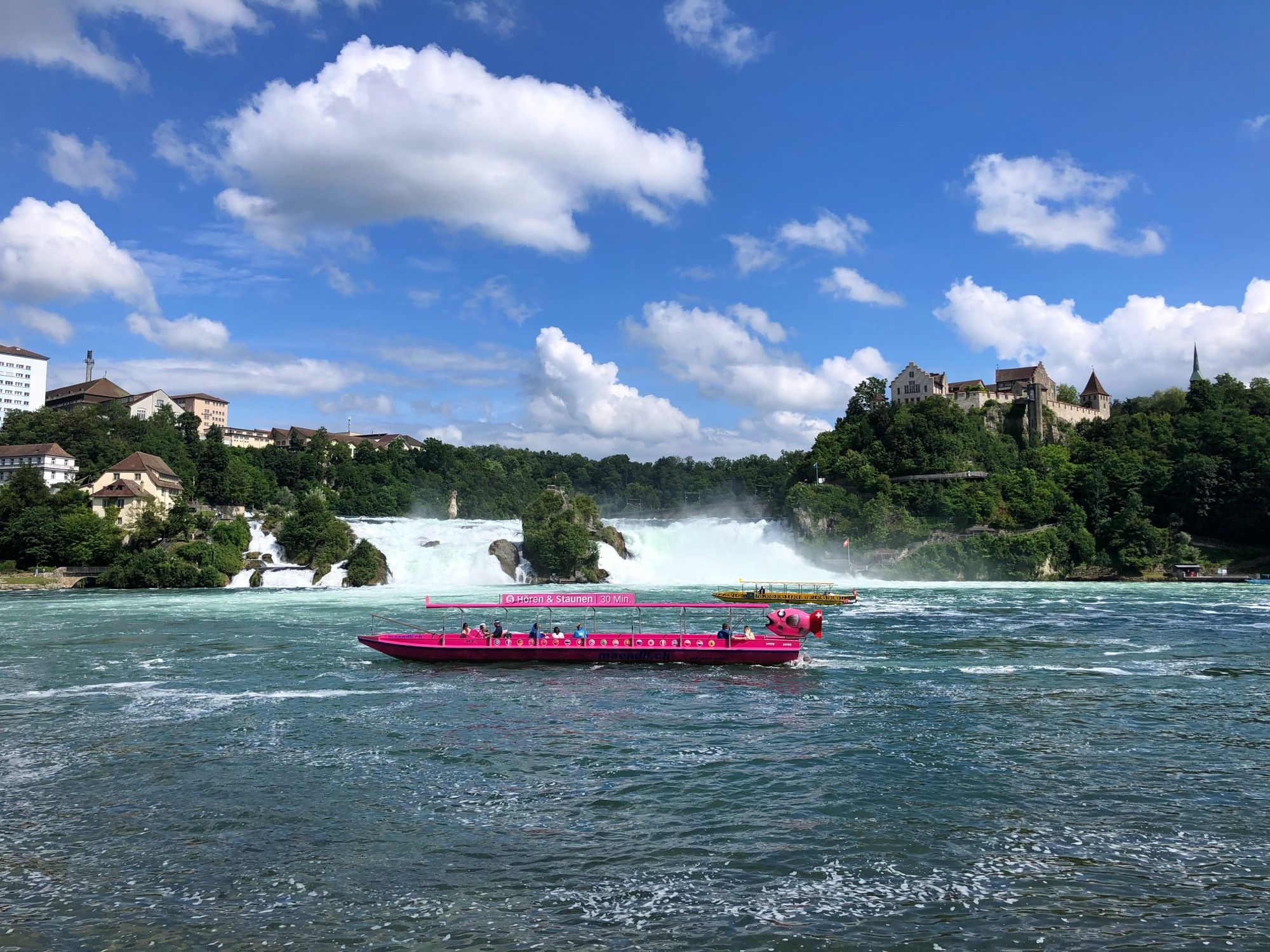 Rheinfall: Vivi una emozionante escursione in battello presso una delle cascate più grandi d'Europa.