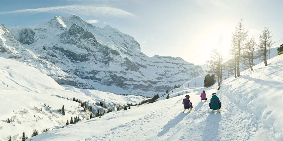 Wengen Schlittelweg Fox Run