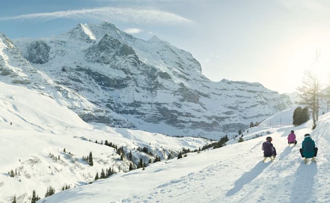 Schlittelweg Fox Run (Foto: Jungfraubahnen)