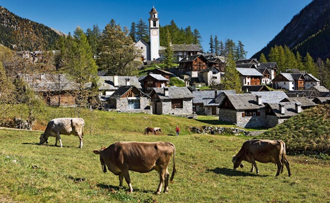 Petit village de montagne au Tessin (photo : Suisse Tourisme Christof Sonderegger)