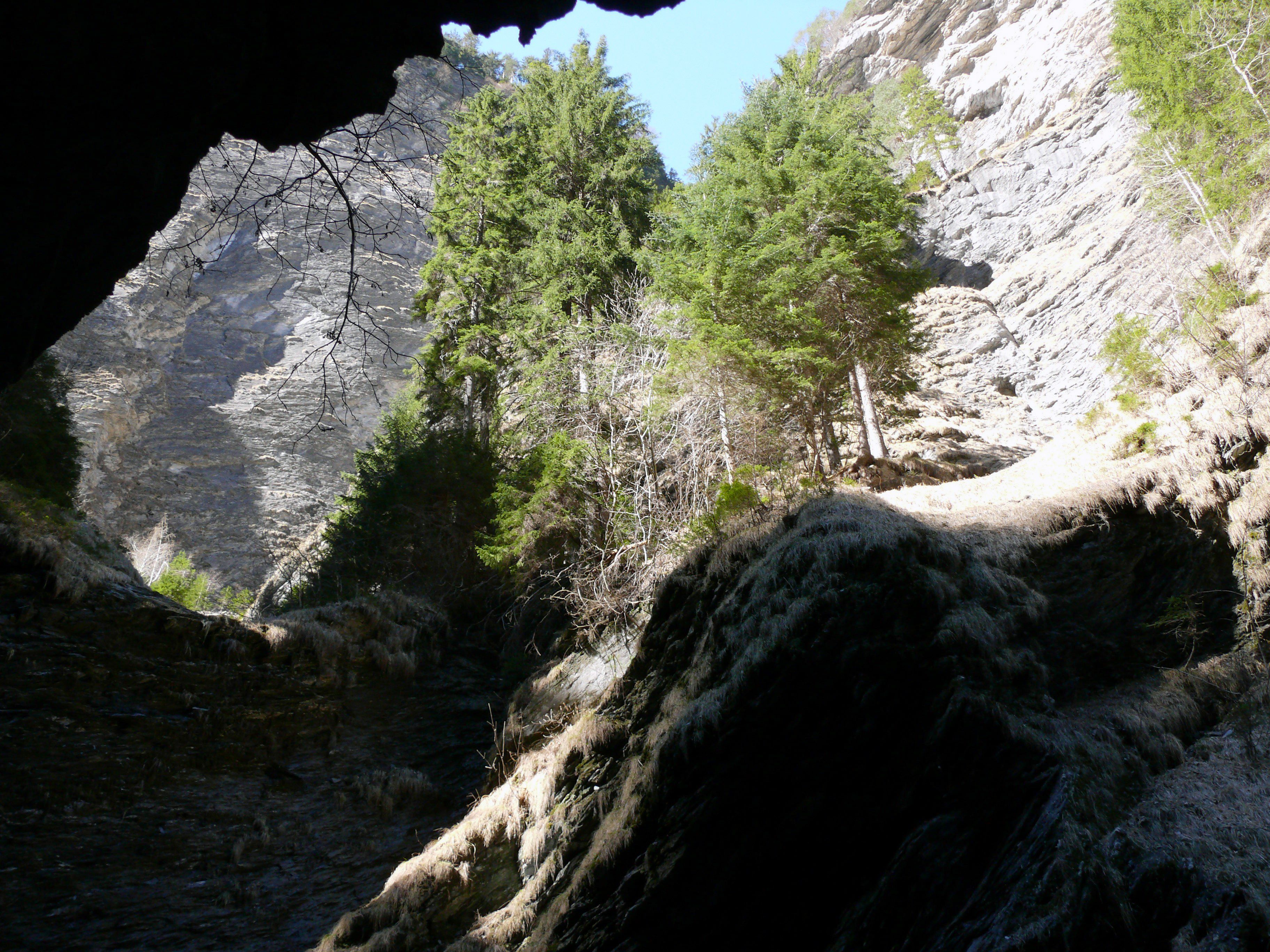 Ngarai Viamala: ngarai yang menakjubkan dengan tebing, pohon, dan jalur pendakian di Swiss.