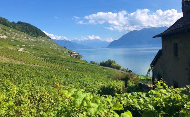 Lavaux vineyard on Lake Geneva (Photo: Seraina Zellweger)