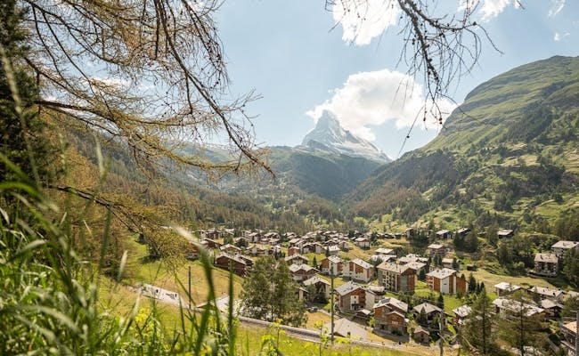 Zermatt: Priveliște asupra Matterhorn-ului, trasee de drumeție idilice și natură în sezonul de vară.