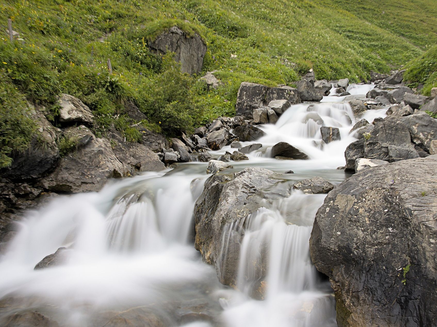 Engelberg: cascata con pietre, circondata da verdeggiante vegetazione e da un'impressionante catena montuosa.