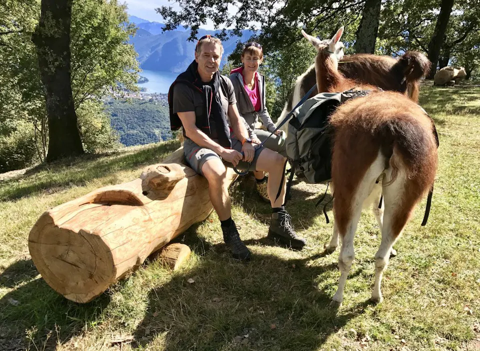 Lama und Alpaka Trekking [Lamatrekking Malcantone