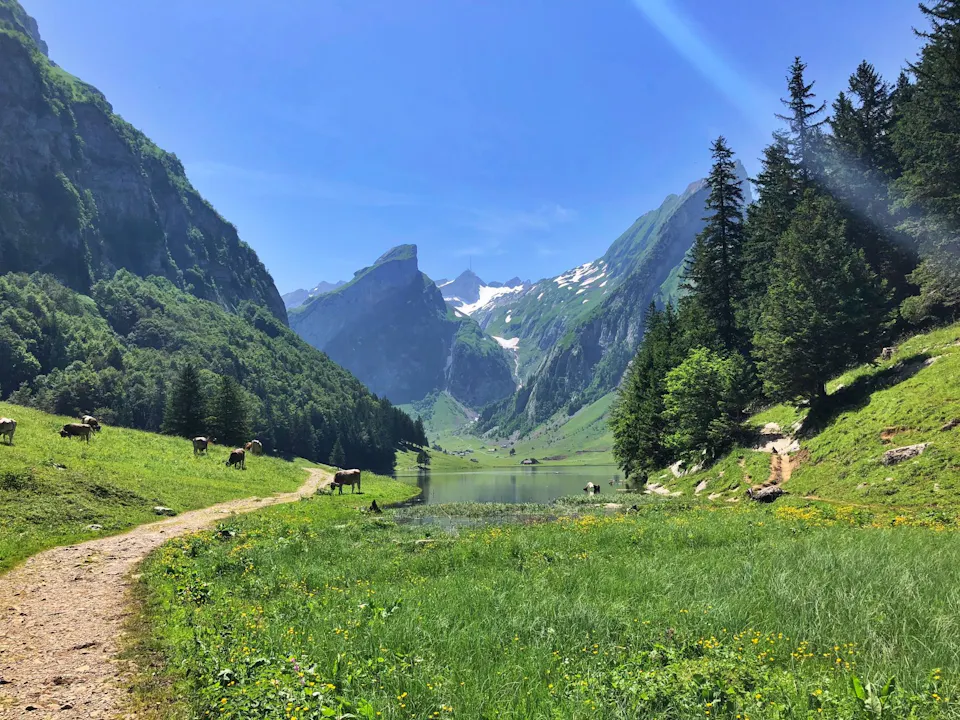 Seealpsee