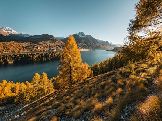 Silsersee (Foto: Switzerland Tourism Andreas Gerth)