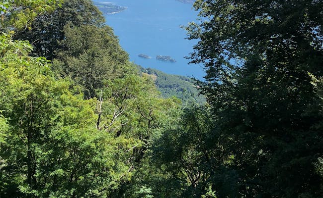 Lago Maggiore: Pemandangan pulau Brissago dan persekitaran hijau, sesuai untuk pencinta alam dan perjalanan musim panas.