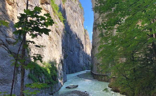 Aareschlucht: หุบเขาที่น่าประทับใจพร้อมด้วยชายฝั่งสีเขียวและน้ำใสในสวิตเซอร์แลนด์.