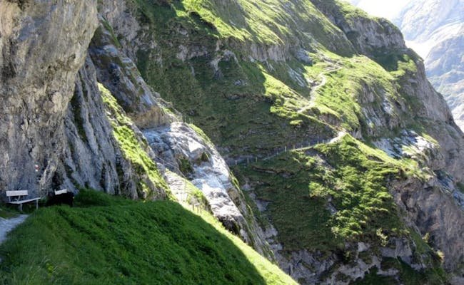 Sentier thématique Bäregg (photo : Jungfrau Region)