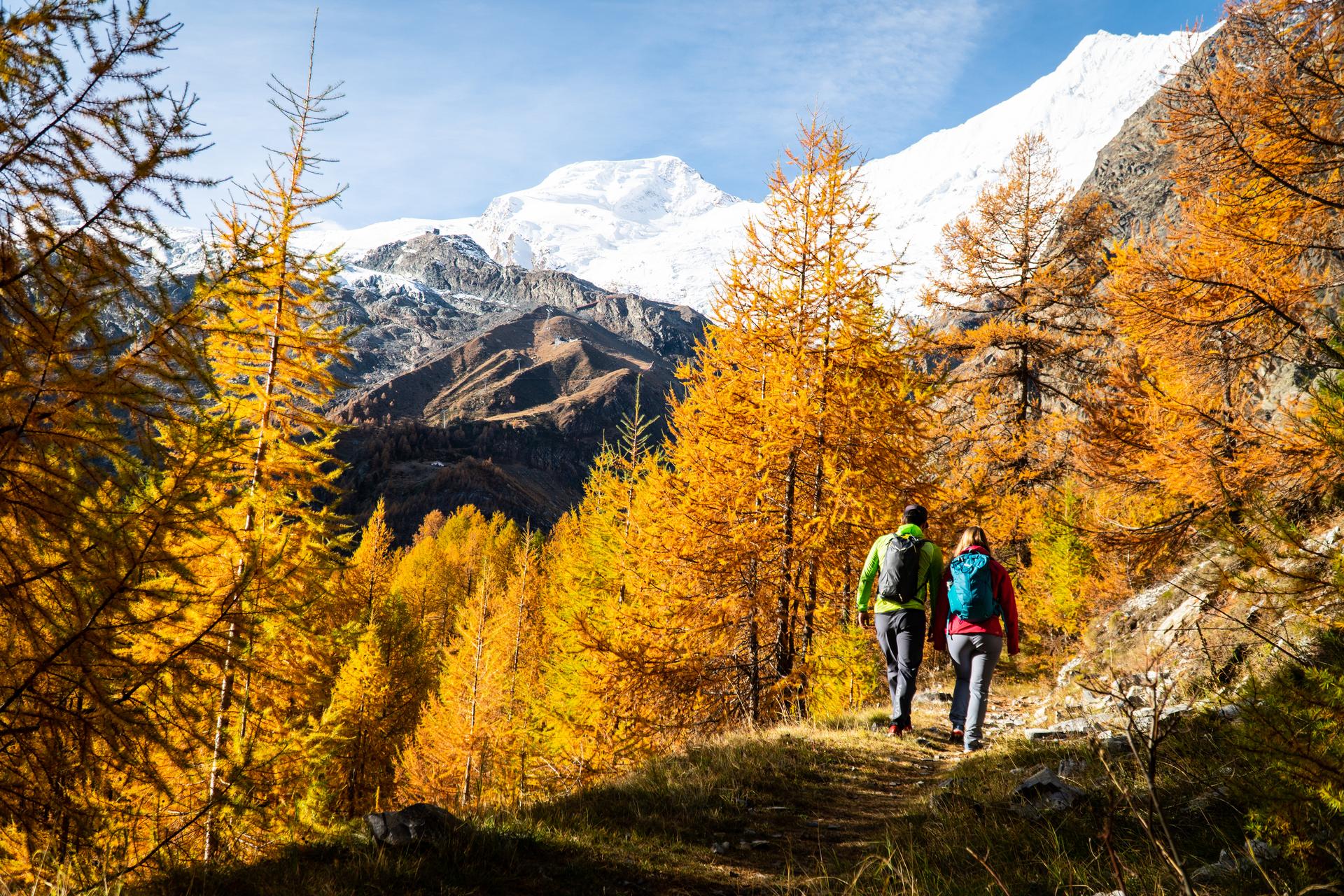 Saas Fee Pendakian, suasana musim gugur, pohon berwarna-warni, pemandangan gunung