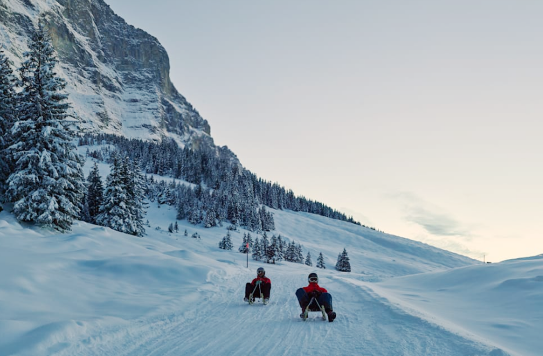 雪に覆われた背景の中でのグリンデルワルトでのソリ遊び