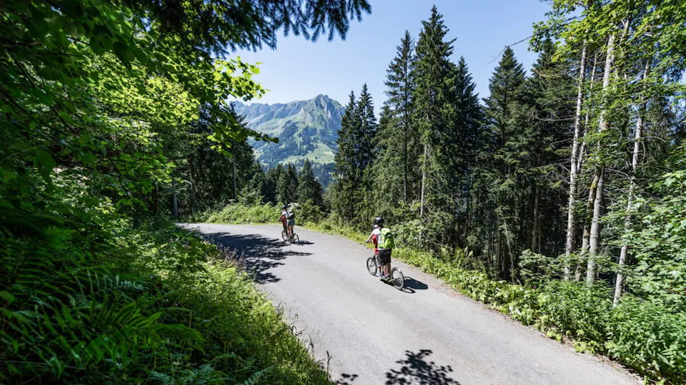 Trübsee Trottibike
