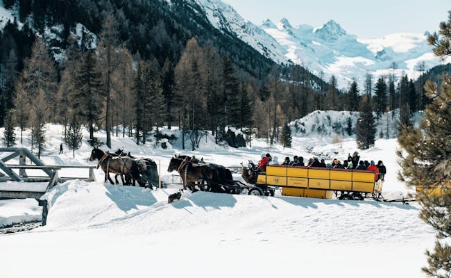 Pferdeschlittenfahrt in malerischer Winterlandschaft mit schneebedeckten Bergen und Gästen.