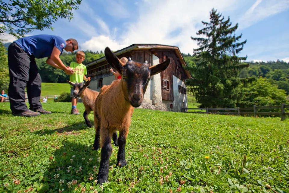 Heidiland Heididorf