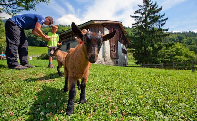 Heididorf con cabras, niños juegan al aire libre, hermoso paisaje.