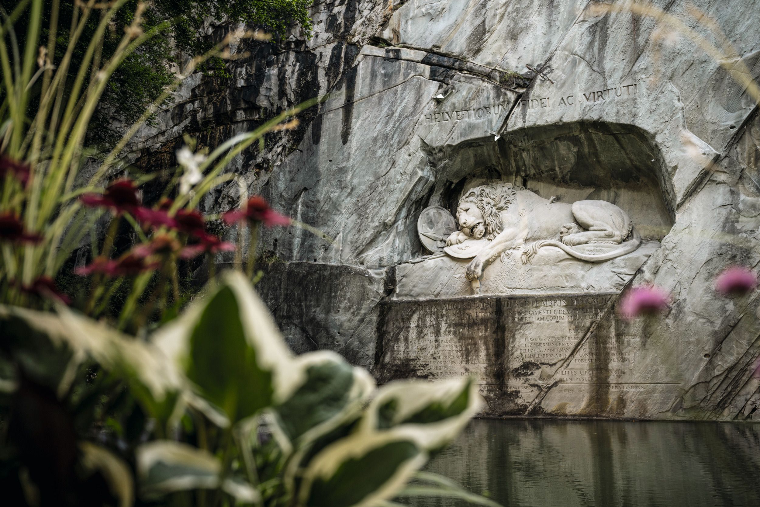 Löwendenkmal Luzern mit Blumen und Felsen im Hintergrund