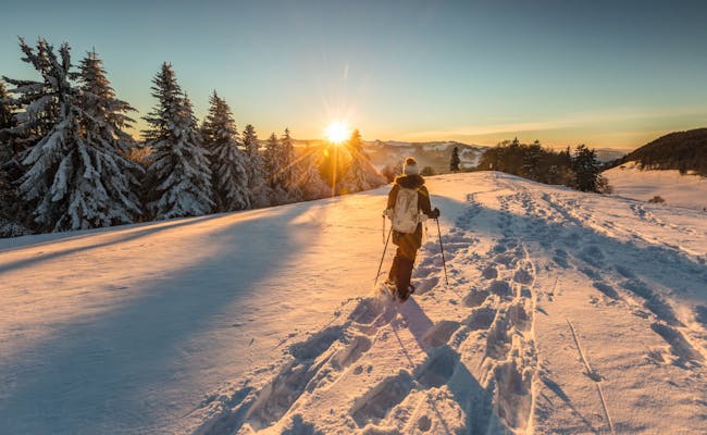 Schneeschuhlaufen (Foto: Schweiz Tourismus, Jan Geerk)