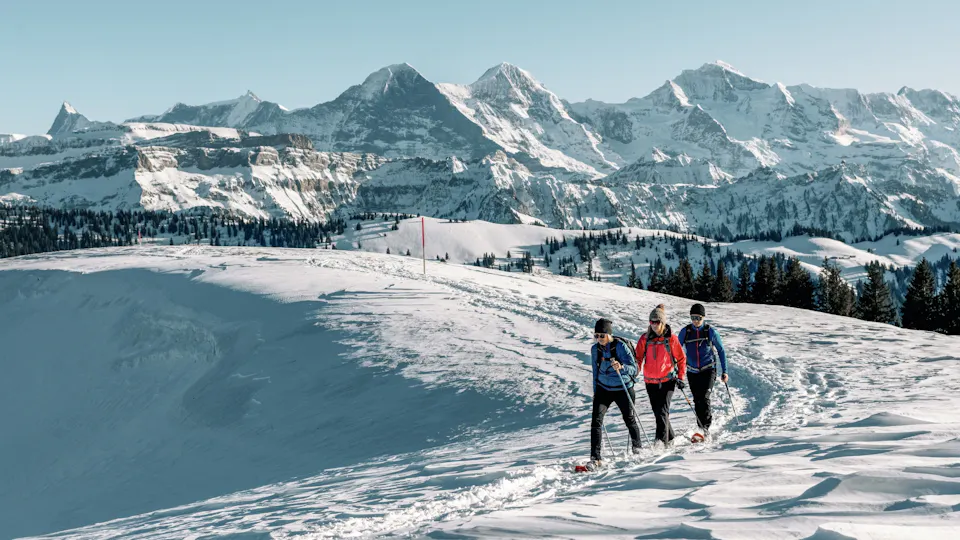 Schneeschuhwandern Grindelwald