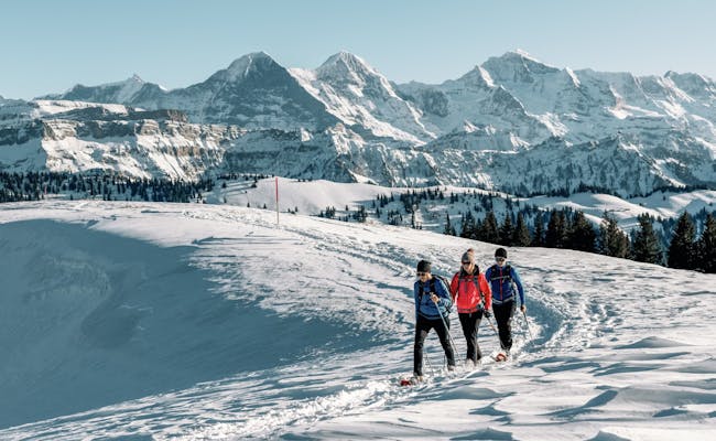 Schneeschuhwandern in Grindelwald, Wanderer im Schnee, Berge im Hintergrund.