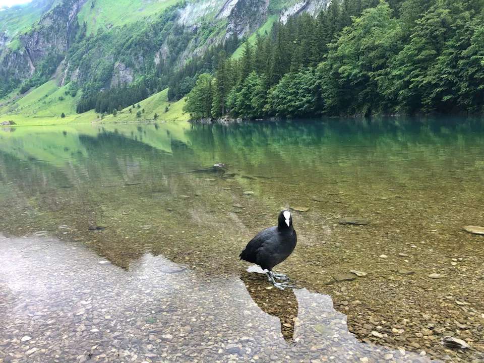 Seealpsee