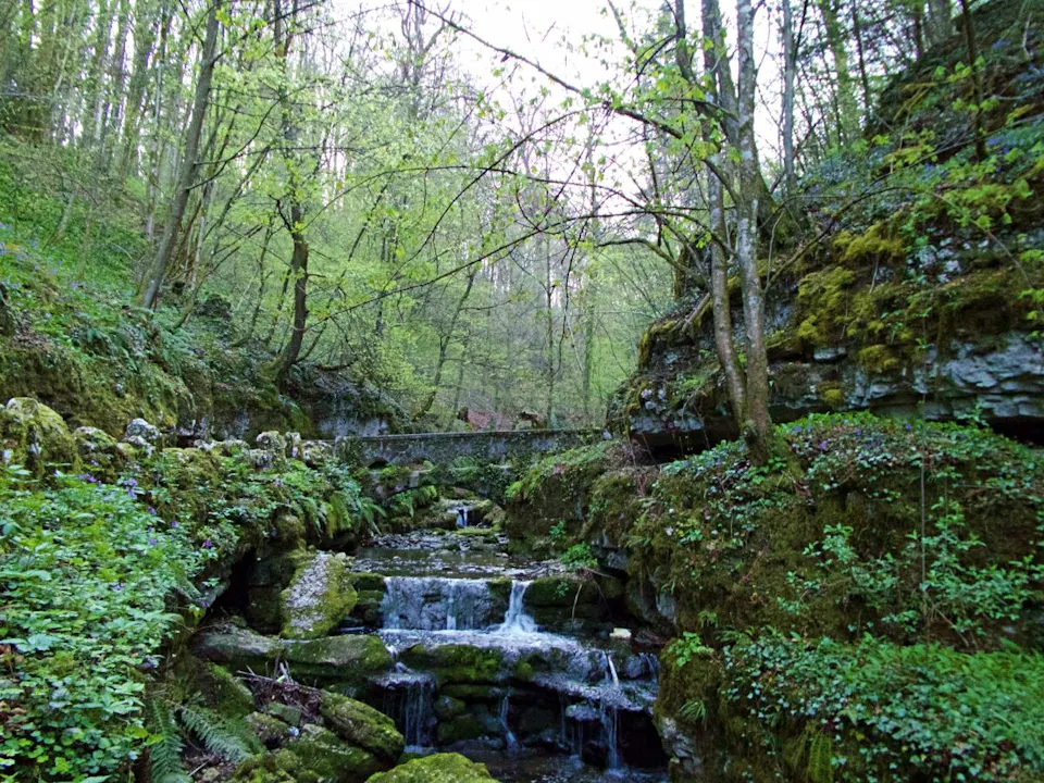 Verenaschlucht