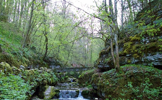 Le ruisseau de Verena mène aux gorges (photo : Seraina Zellweger)
