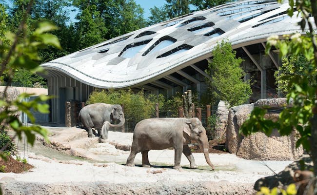 Zoo (Foto: Zurigo Turismo)