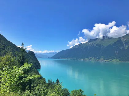 Brienzersee mit türkisem Wasser, umgeben von Bergen und Bäumen