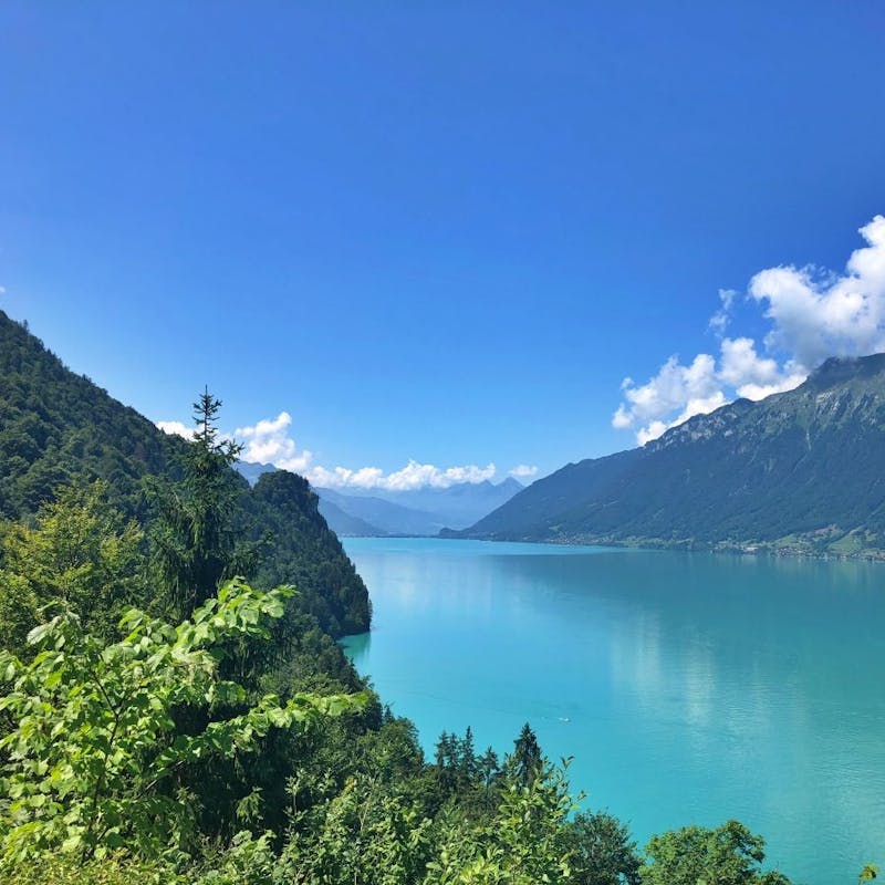 Brienzské jazero s tyrkysovou vodou, obklopené horami a stromami
