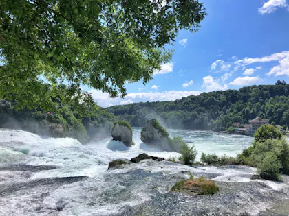 Rheinfall: beeindruckender Wasserfall in der Schweiz, umgeben von Natur und gruenen Bergen