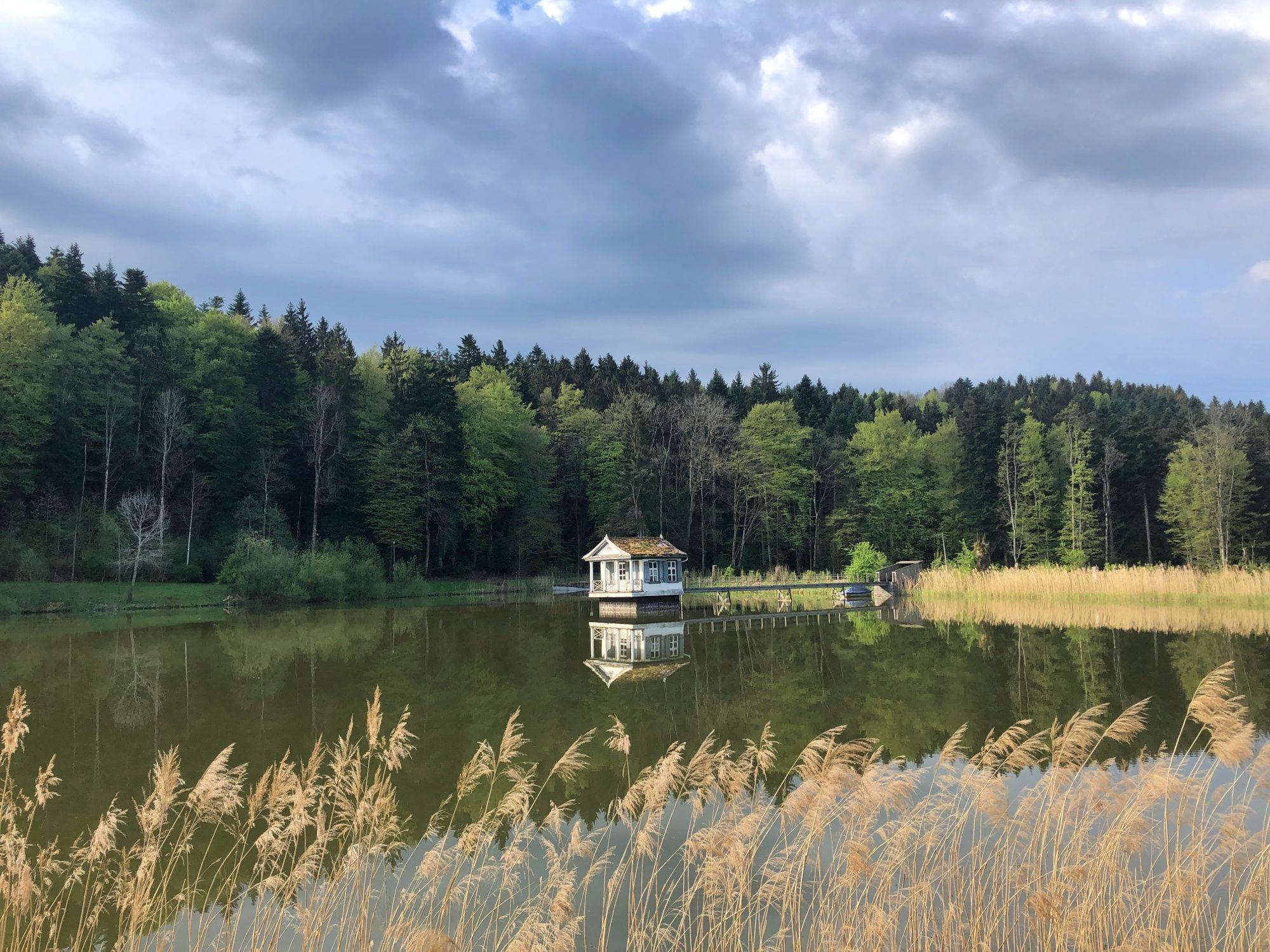 Wenigerweier St Gallen: paesaggio pittoresco con riflesso nel lago e boschi circostanti.