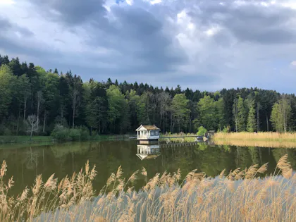Wenigerweier St Gallen: malerische Landschaft mit Reflektion im See und umgebenden Wäldern.
