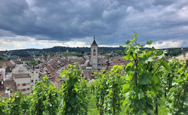 Schaffhausen: View of the city and vineyards under dark clouds, an idyllic scenery.