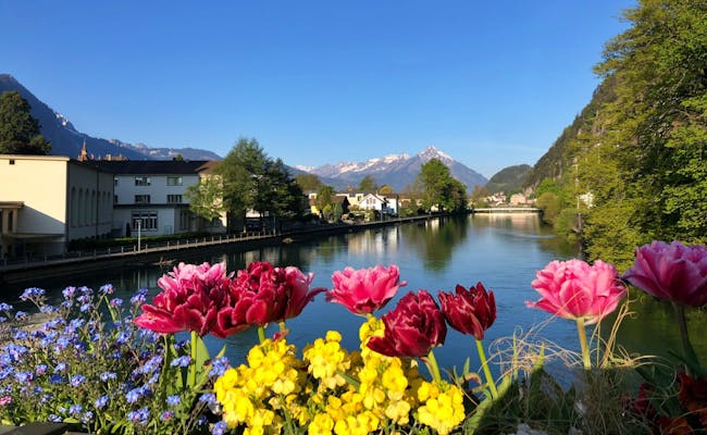 Flowers Interlaken: Colorful flowers by the river with mountains in the background and a blue sky.