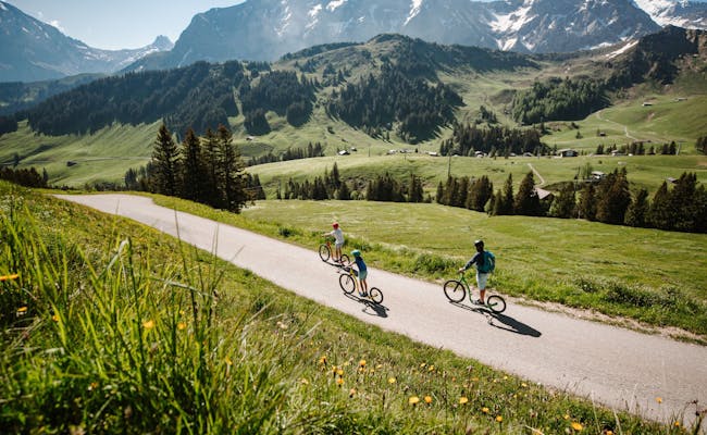 Trottiland in Adelboden mit Radfahrern auf grüner Wiese.