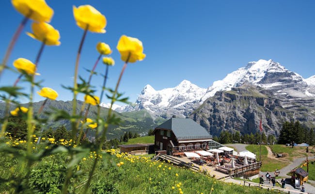 Allmendhubel (Foto: Jungfrau Region)
