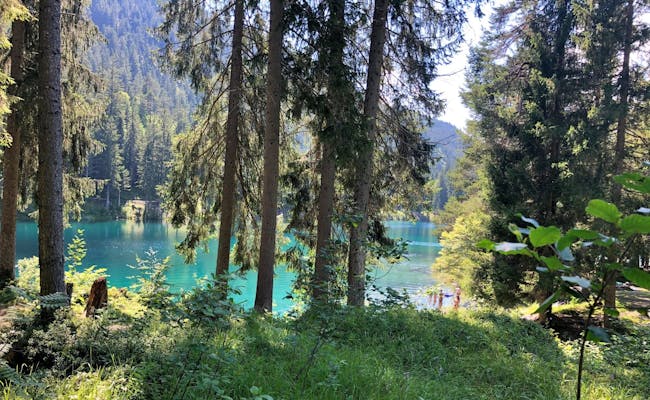Caumasee:夏天湖泊和周围环境的迷人景色,伴随着落叶树。