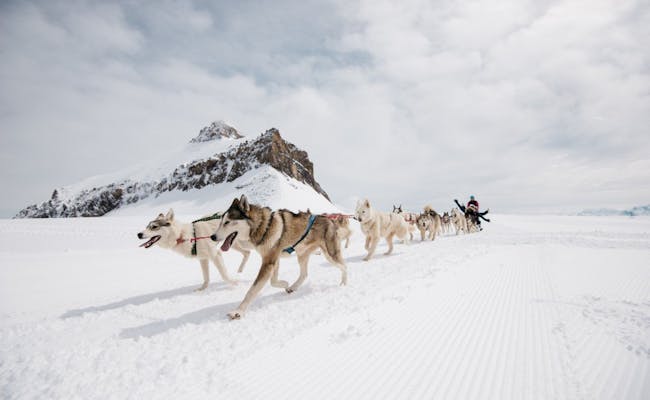 Glacier3000 in slitta trainata da cani (Foto: Raphael Dupertuis Gstaad 3000 AG)