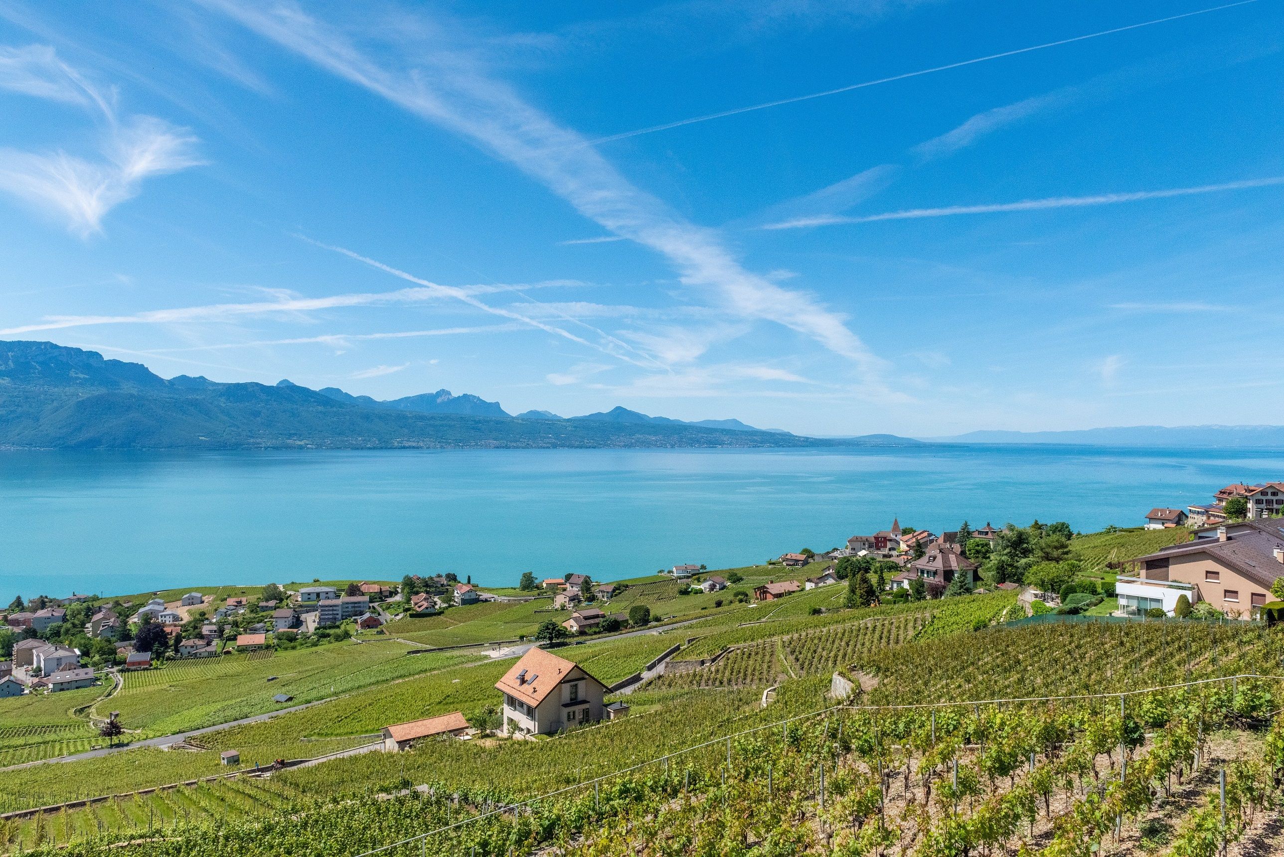 Experience the hills of Lausanne with views of the lake, vineyards, and the Alpine landscape.