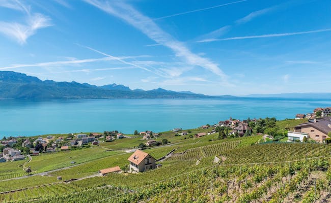 Lausanne hill by the lake (Photo: Unsplash)