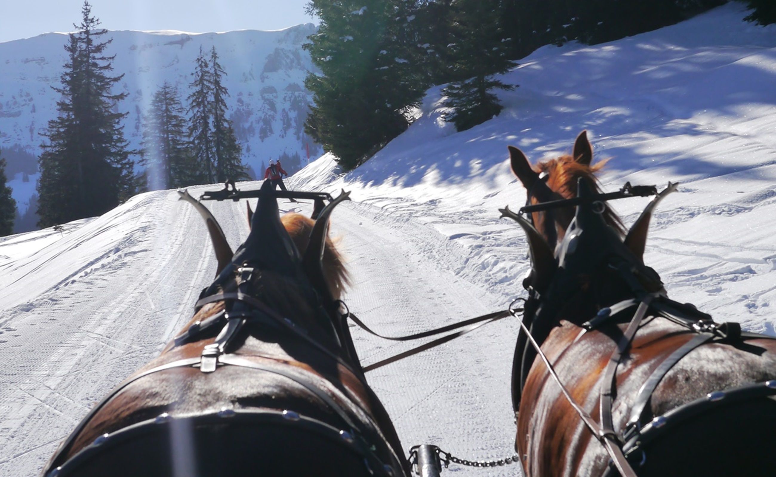 Катание на каретах по заснеженным пейзажам в Хейдилянде. Лошади тянут экипаж через зимний ландшафт.