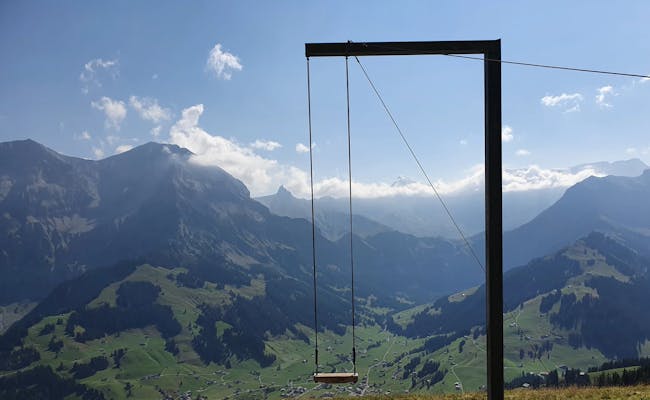 Natur mit Schaukel Giant Swing(Foto: Tschentenbahnen)