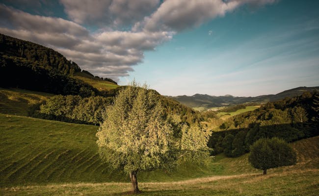 Národní park Thal: Zelené louky a mírné kopce ve Švýcarsku, ideální pro pěší turistiku a milovníky přírody.