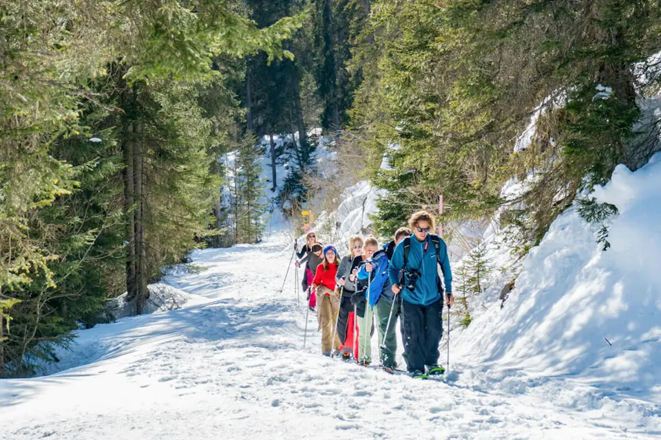 Interlaken Schneeschuhwandern