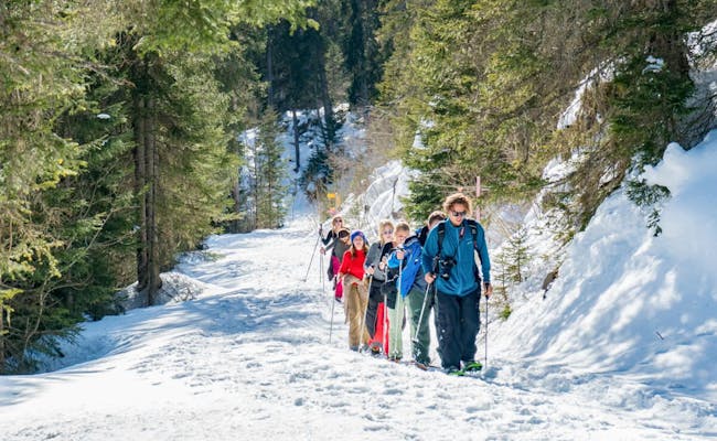Escursioni con le racchette da neve (Foto: Outdoor Interlaken)