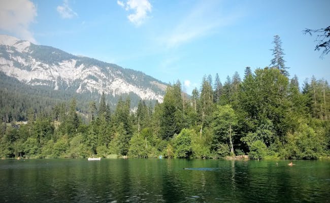 Crestasee met drinkwaterkwaliteit, omgeven door natuur en bossen, ideaal voor zomeractiviteiten.