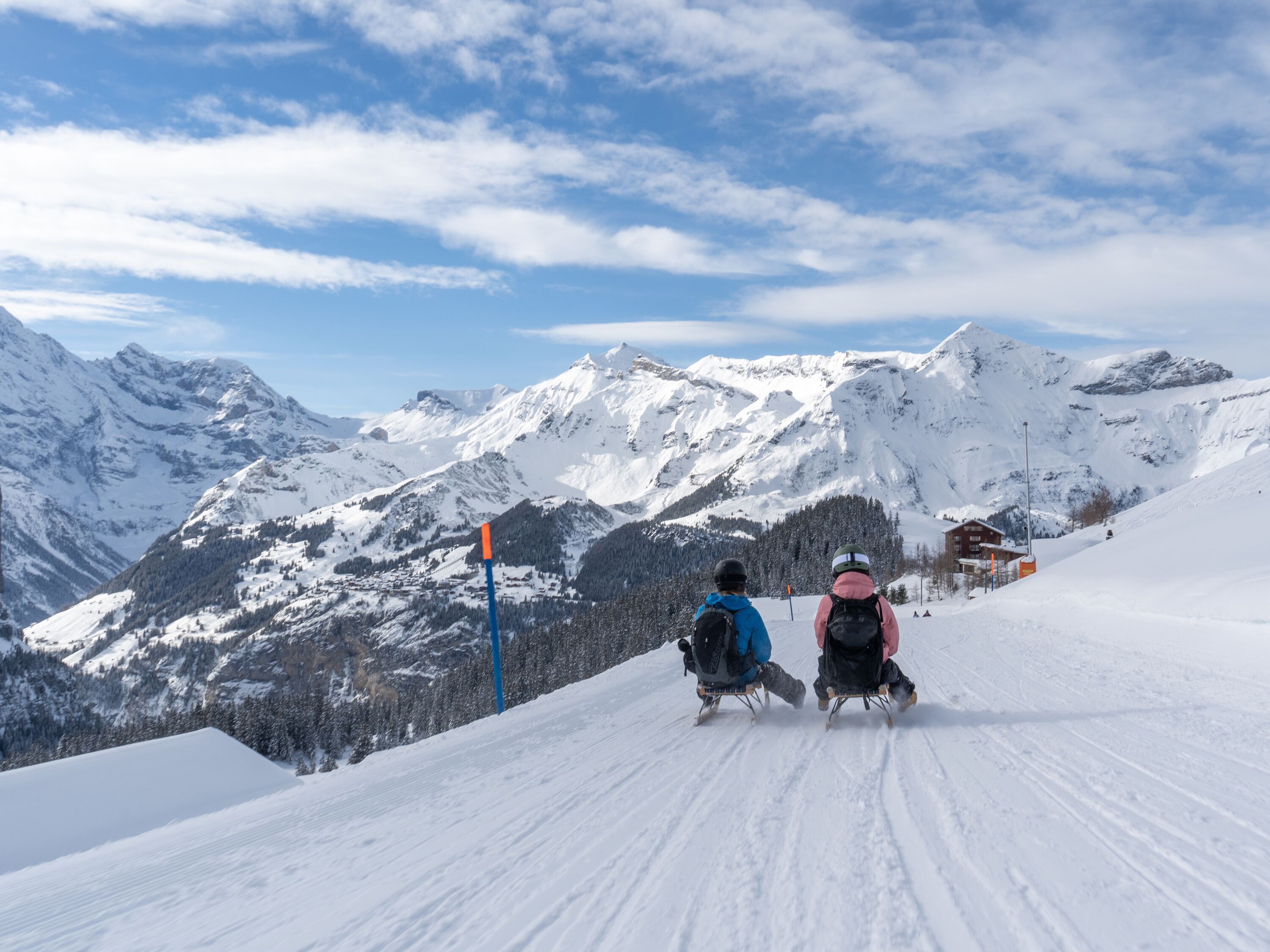 Faire de la luge à Wengen, découvre le Fox Run avec des amis dans les paysages alpins enneigés.