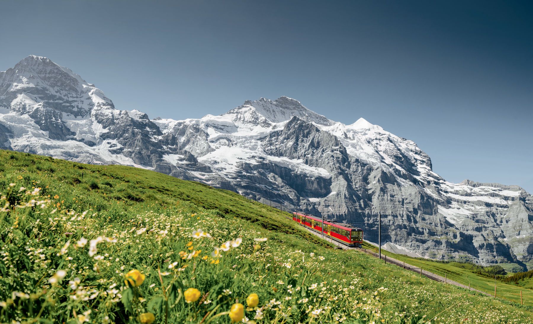 Le train Jungfrau circule à travers le paysage alpin de la Suisse avec des prairies verdoyantes et des montagnes majestueuses.