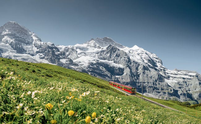 Jungfraubahn atraviesa el paisaje alpino de Suiza con prados verdes y majestuosas montañas.